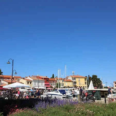 Gianna Ap3 * Novigrad Istria