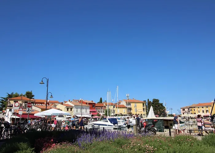 Gianna Ap3 * Novigrad Istria